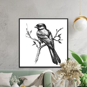Digital Bird Illustration Art Print Black and White Bird Poster Wall Decor Bird Digital Art Instant Download Printable Bird Art
