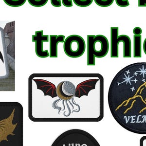 Pu&ograve; includere: Una collezione di toppe ricamate con vari disegni, tra cui un drago, ali, un lupo, una fenice e motivi celesti. Le toppe sono di varie forme e dimensioni, con testo come "Silver One" e "Wingspan Matters".