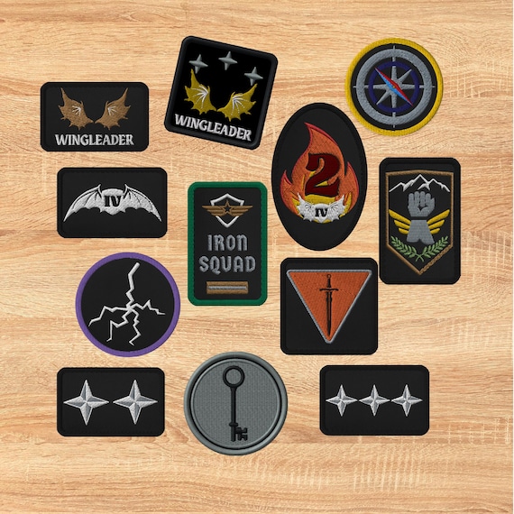 fourth wing embroidered patch, Flight jacket Cosplay Patches, dragon rider wingleader merch, second squad