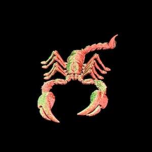 Emperor Scorpion Articulated