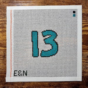TS 13 - Hand Painted Needlepoint Canvas