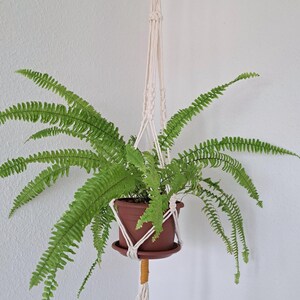 Macrame Plant Holder, Hanging Planter, Boho Macrame Plant Hanger, Boho Decor, Gift, Home Decor, Macrame Decor, Houseplant Hanger