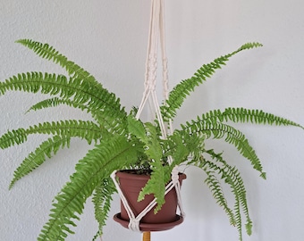 Macrame plant holder, hanging planter, boho macrame plant hanger, boho decor, gift, home decor, macrame decor, indoor plant hanger