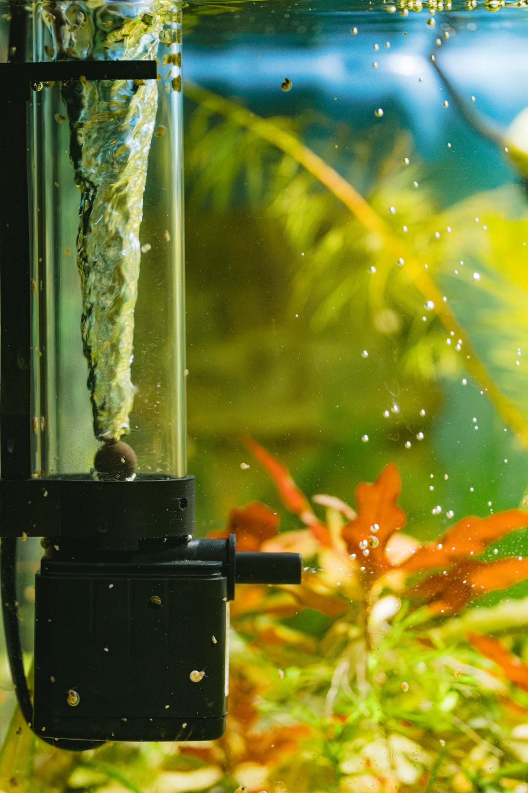 Aquarium Oxygenation Waterwizard Restructuring Device (vortex) - Etsy