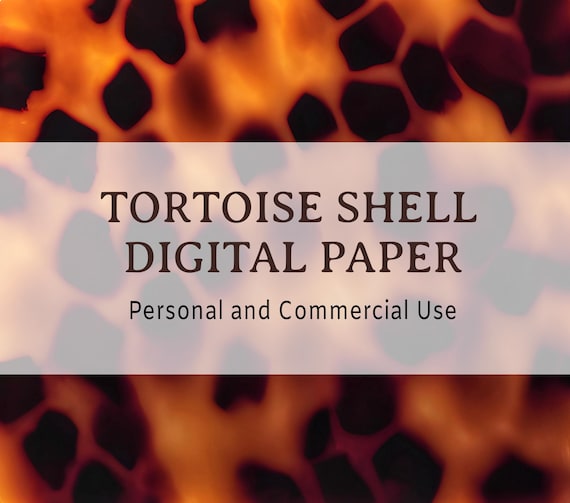 Tortoise Shell Digital Paper 4, Digital Download - Etsy