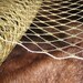 Metallic GOLD French netting - 9-inch wide, for DIY birdcage veils, fascinators