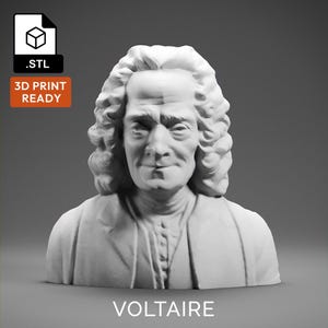 Voltaire 3D Model - High Quality STL file for 3D Printing - 3D Printer File - Historical Bust Statue - STL File - Digital File