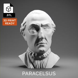 Paracelsus 3D Model - High Quality STL file for 3D Printing - 3D Printer File - Historical Bust Statue - STL File - Digital File