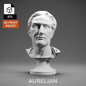Aurelian 3D Model - High Quality STL file for 3D Printing - 3D Printer File - Historical Bust Statue - STL File - Digital File