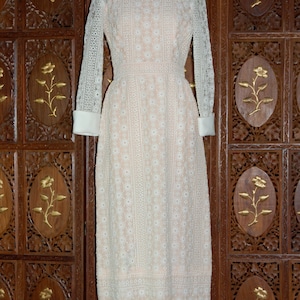1960s Embroidered Organza Dress: Sheer Peach Lined Gown