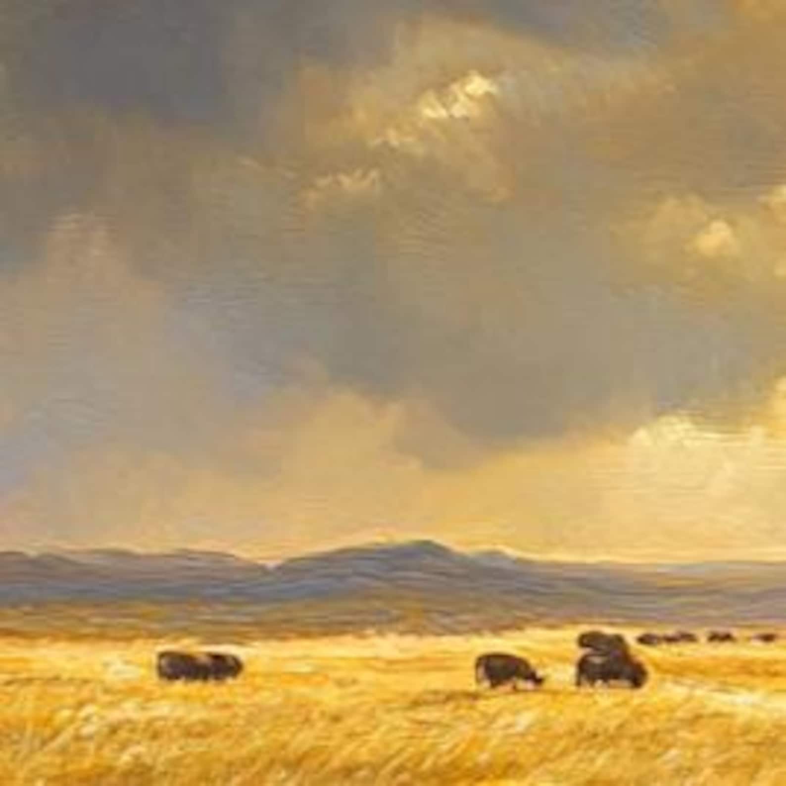 Large Western Bison Canvas – Grazing Buffalo Oil Painting Print ...