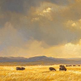 Large Western Bison Canvas – Grazing Buffalo Oil Painting Print ...