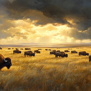 Large Western Bison Canvas – Grazing Buffalo Oil Painting Print ...