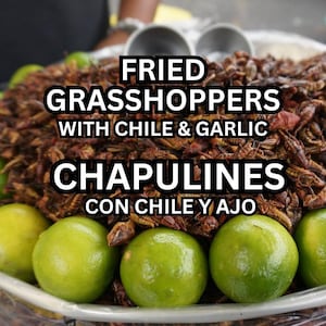 1 lb | Oaxacan Chapulines: Garlic Chile Grasshopper Snack