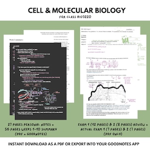 Biologia cellulare e molecolare