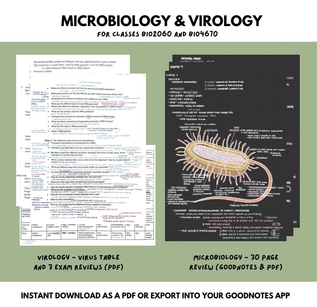 Microbiology Virology Notes Etsy
