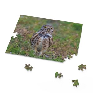 Puzzle Oiseau de Floride Buse à queue rousse Salt Life Wildlife 120 252 500 pièces, Cadeau, Décoration d&#39;intérieur, Activité d&#39;intérieur, Détente, Casse-tête