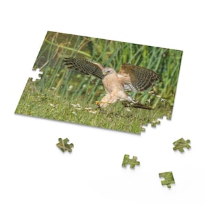 Casse-tête Oiseaux de proie de Floride, activité animalière, jeu côtier, décoration d&#39;intérieur, cadeau pour amoureux des oiseaux, puzzle pour amoureux de la nature
