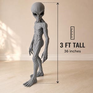 May include: A grey, standing alien figure with a large head, dark almond-shaped eyes, and a slender, muscular build. A graphic next to the figure indicates a height of 3 FT TALL, which is equivalent to 36 inches, as shown by a vertical measurement line.