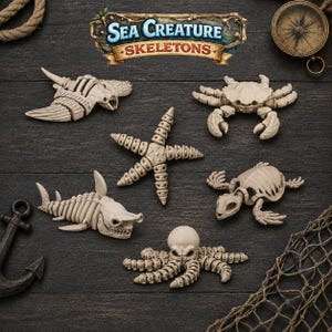 Articulated Sea Creature Skeletons Set | Posable Fidget Desk Toy, Nautical Oddities