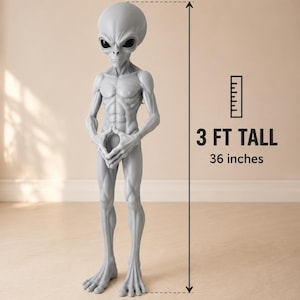 May include: A grey alien figurine with a large head, dark oval eyes, and a slender, muscular build. The figure stands upright with hands clasped in front. A graphic indicates the height is 3 FT TALL, which is equivalent to 36 inches.