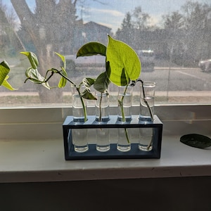 Propagation station for plants, water propagation, plant stand, gift for plant lover