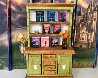 Throne of Glass Inspired Bookshelf  with Mini Books
