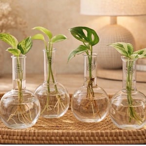Vintage Pyrex Lab Flasks / 250 ML / Set of 4 Apothecary Flat Bottom Flasks / Propagation Vase