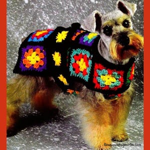 Pode incluir: Um cão pequeno usando um suéter de cachorro de crochê preto com padrões quadrados coloridos. Os quadrados apresentam desenhos amarelos, laranja, vermelho, azul e verde. O cão tem uma pelagem cinza e marrom e um longo bigode amarelo.