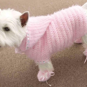 Könnte beinhalten: Ein weißer Hund, der einen rosa gestrickten Pullover mit Strasssteinen und passenden Stiefeletten trägt.