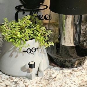 May include: A whimsical, light gray planter shaped like a character wearing glasses and holding a coffee cup. The planter is filled with green leafy plants. A coffee maker is in the background.