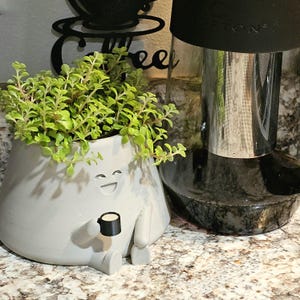 Plump Planter with Coffee, Cute Coffee Planter, Cozy Fall Indoor Mug Planter Decor, Unique Latte Lovers, Flower Cafe, Christmas Gift for Her