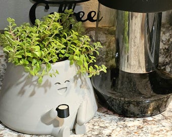 Plump Coffee Planter: Cozy Home Decor, Gift for Plant Lover