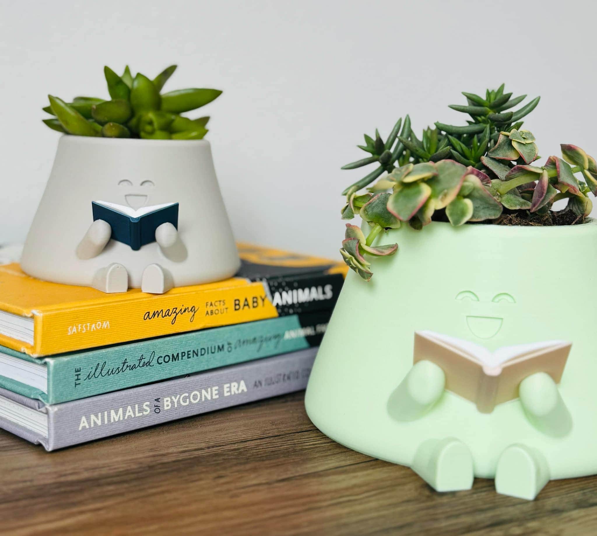 Plump Planter With a Book: Cozy Reading Nook Decor