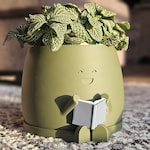Planters & Pots