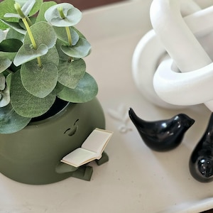 Plump Planter With a Book: Cozy Reading Nook Decor