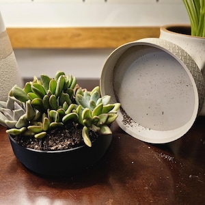 May include: A black succulent planter with a variety of green succulents. The planter is sitting on a wooden table next to a white ceramic planter.