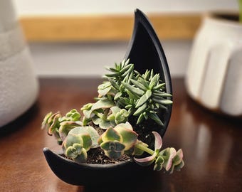 Crescent Moon Succulent Planter: Boho Cactus Air Plant Display