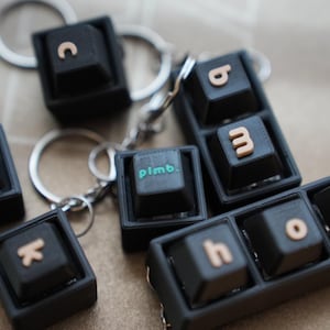 Puede incluir: Varios llaveros negros con forma de teclas de teclado. Cada tecla muestra una letra o número en color marrón claro. Una tecla tiene la inscripción "plmb." en verde. Los llaveros son plateados.