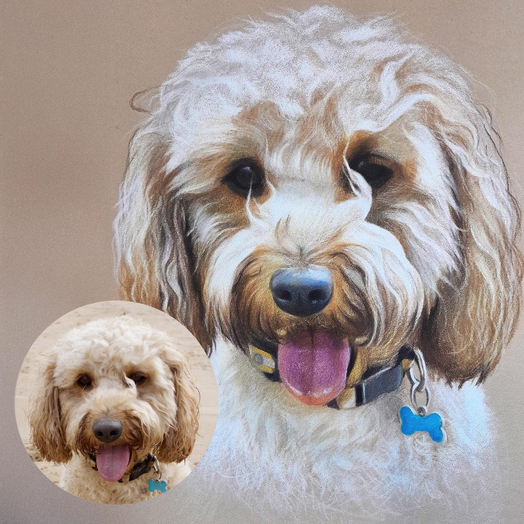 Custom Dog Portrait, Custom Cat Portrait, Colored Pencil Pet Portrait ...