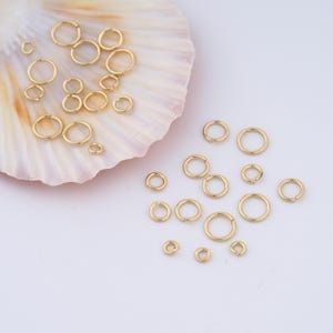 May include: A collection of small, gold-colored jump rings of varying sizes, scattered on a white surface and a seashell. The rings are circular and appear to be made of metal. The image is well-lit, highlighting the metallic sheen of the rings.