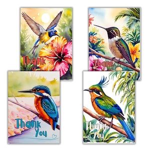 Cartões de pássaros africanos, cartões de felicitações lindamente ilustrados e impressões de arte, perfeitos para amantes de pássaros e entusiastas da natureza