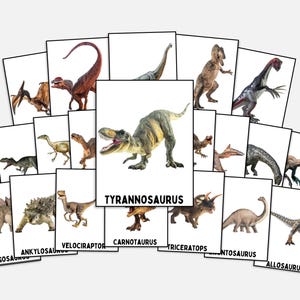 Dino Flash Cards | Educational Flashcards for Kids, Fun Learning Tools & Collectibles, Ideal Dinosaur Enthusiasts, Unique Designs