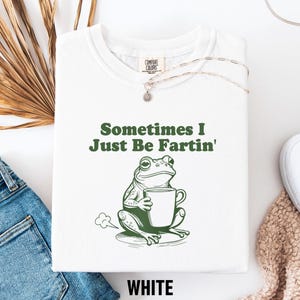 Sometimes I Just Be Fartin Shirt, Funny Frog Sweatshirt, Unhinged Tshirt, Weirdcore Outfits, Gag gift Sweater, Funny Meme Hoodie, Quirky Tee