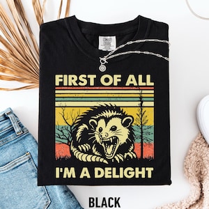 Tout d'abord, je suis un délice sarcastique chemise amateur d'opossum en colère, chemise sarcastique mignonne, amour de soi sarcastique, chemise sarcasme