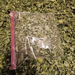 Moringa loose leaf 1 quart. Texas, USA grown for tea, or blend into power for smoothies etc .  Only way to guarantee you have pure moringa.