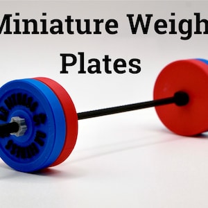 Miniature Gym Weight Plates: Display Your Strength, Perfect for Desk or Shelf | Gift for Gym/Fitness Enthusiasts