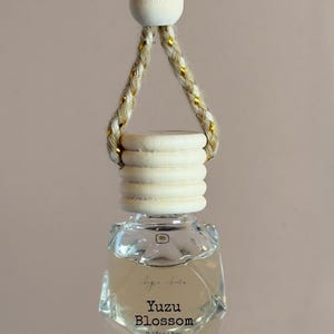 Car Diffuser Citrus Scent Car Accessories hanging diffuser cute car air freshener car diffuser scent Gift for Her Gift for Him
