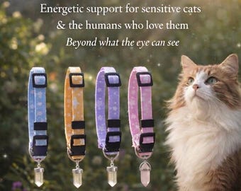 Collar de cristal para gatos hecho a mano • Cuarzo rosa • Cuarzo transparente • Potencia la energía positiva • Fomenta el vínculo • Ajustable