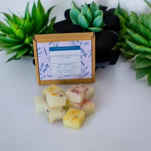 Botanical Soy Wax Melts, Handcrafted Fragrant Wax Cubes for Melt Warmers, Ideal Gift for Any Occasion